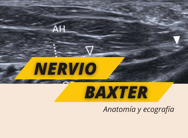 nervio-baxter-y-ecografia